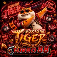 Fortune Tiger